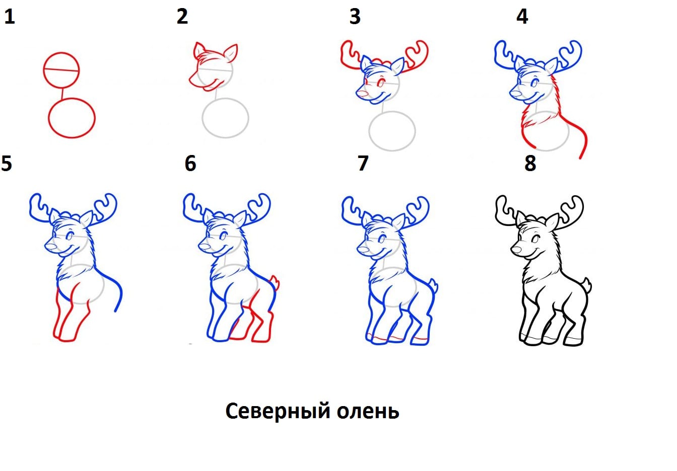 Как нарисовать оленя поэтапно | Статьи по Учимся рисовать